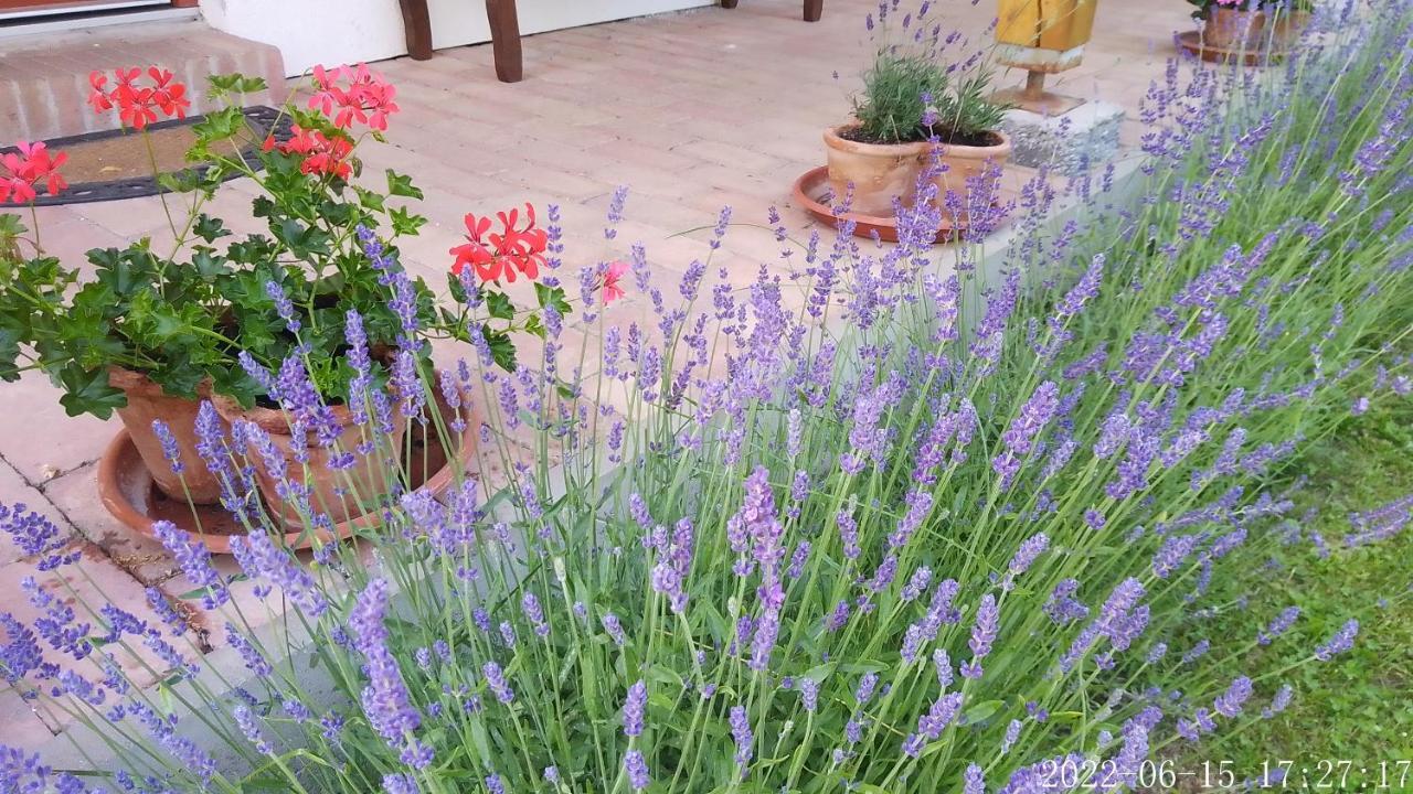 Almafas Vendeghaz Orseg Villa Kerkakutas Buitenkant foto