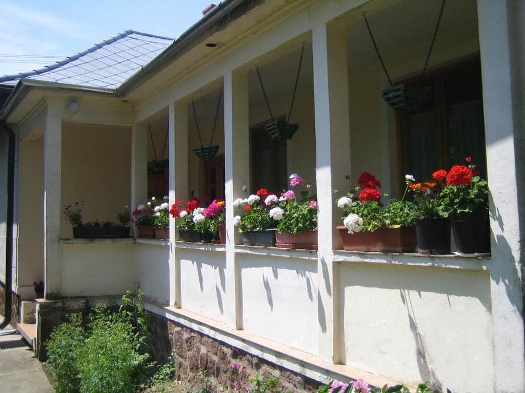 Almafas Vendeghaz Orseg Villa Kerkakutas Buitenkant foto